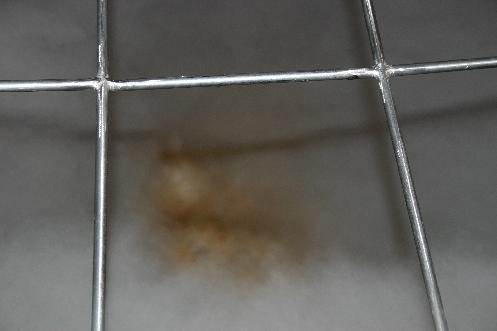A peak inside the steaming brew kettle.